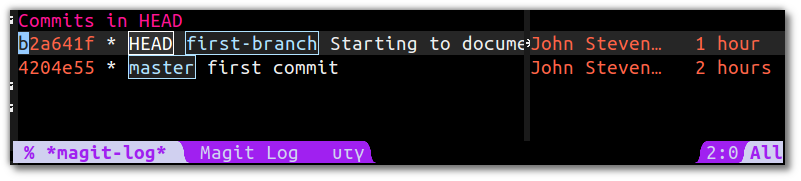 Emacs Magit - Log margin on